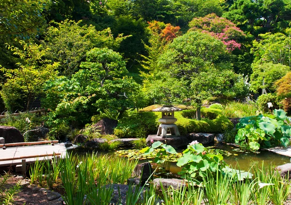 Hermoso jardín japonés —  Fotos de Stock