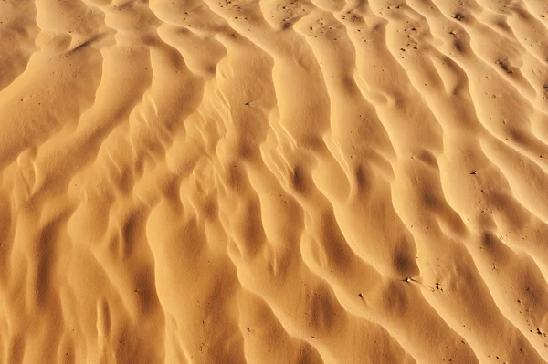 Detalle de duna del desierto — Foto de Stock