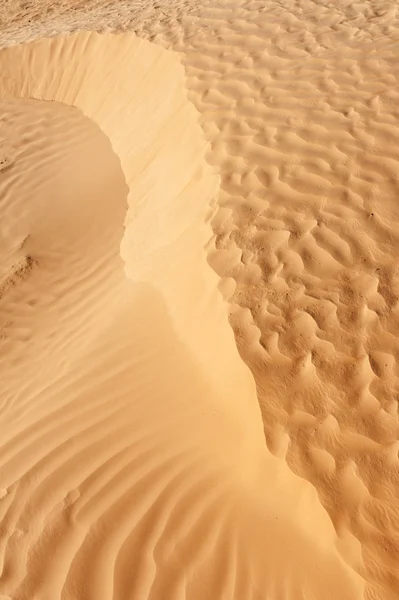 Detalhe da duna do deserto — Fotografia de Stock