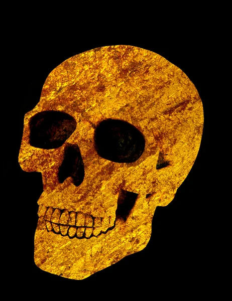 Crânio dourado — Fotografia de Stock