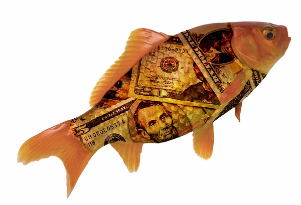 Rich Fish — Stock Photo, Image