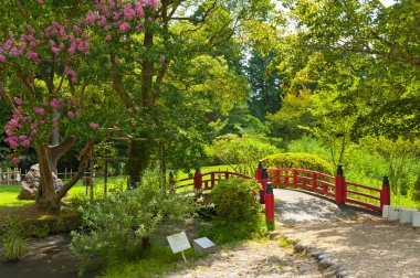 güzel Japon Bahçe