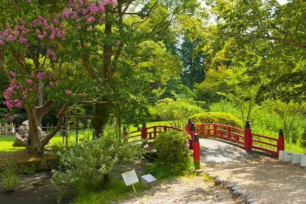 Vacker japansk trädgård — Stockfoto