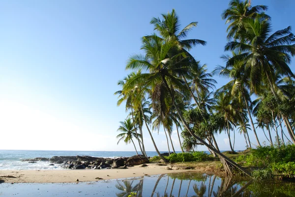 stock image Tropical paradise