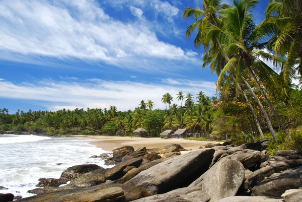 Raj tropikalny — Zdjęcie stockowe