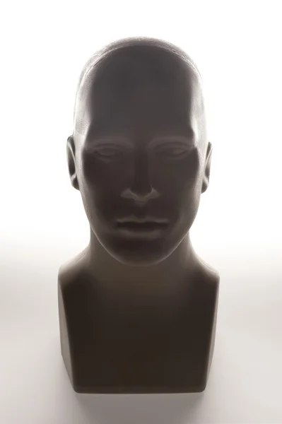stock image Mannequin head