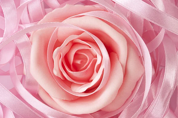 Tło wesele róża różowy — Zdjęcie stockowe