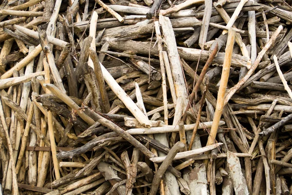 stock image Wooden boughs