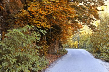 Dağdaki yol