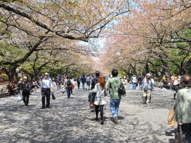 Tokyo Ueno Park in spring clipart