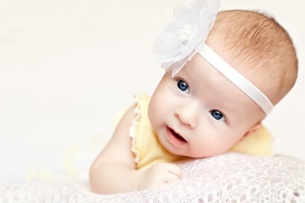Υπέροχο μωρό σάλι, λουλούδια — Stock fotografie