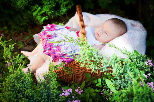 Recém-nascido na cesta — Fotografia de Stock