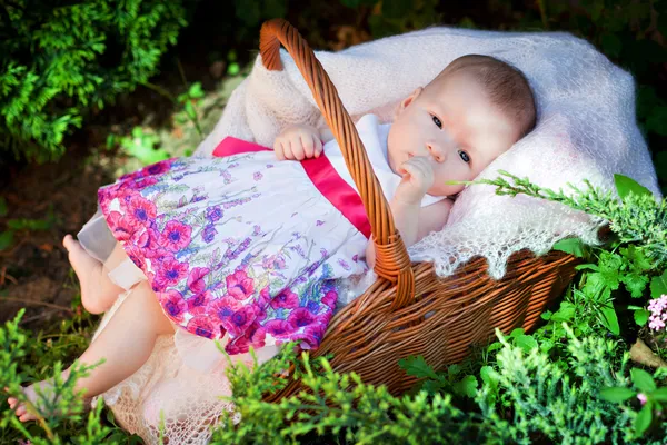 Recém-nascido na cesta — Fotografia de Stock