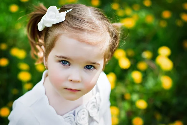 Nettes kleines Mädchen mit wachsamen Augen — Stockfoto