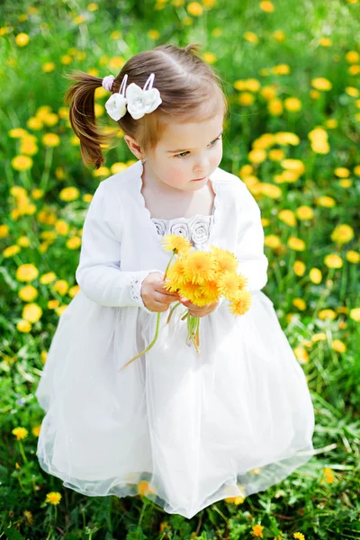 Γλυκό κορίτσι με πικραλίδες — Φωτογραφία Αρχείου