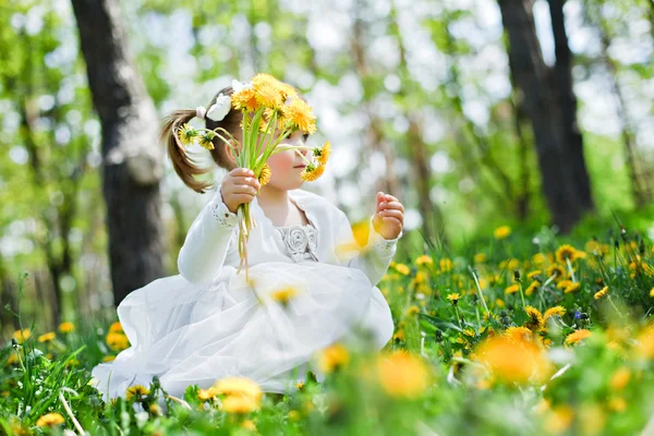 Симпатичная девушка в парке с одуванчиками — стоковое фото