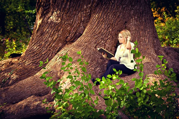 Cute pregnant girl reading on the roots of old trees — Stock Photo, Image
