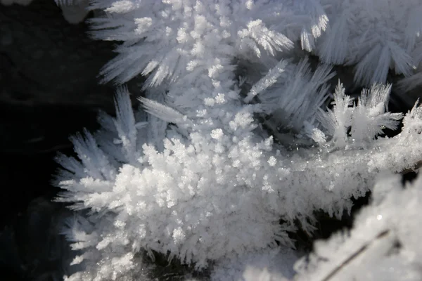 Frostwork — Zdjęcie stockowe