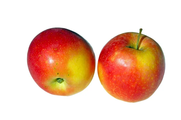 Пара красных яблок — стоковое фото