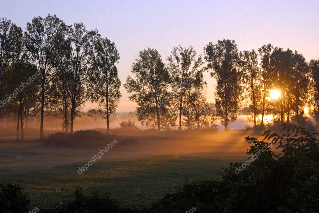 Волдыри от солнца фото