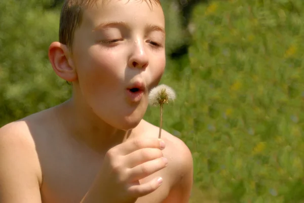 Boy playing with a dandelion — Stock Photo, Image