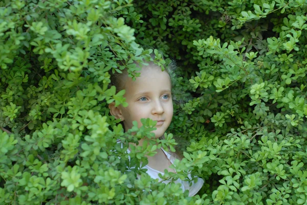Portré egy lány, a háttérben a levelek — Stock Fotó