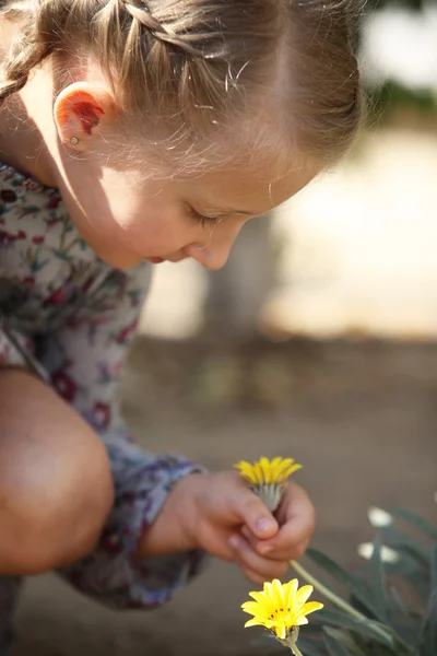 Девушка рвет жёлтый цветок — стоковое фото