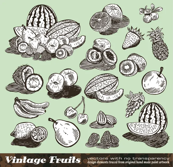 Kolekcja Vintage owoce — Wektor stockowy