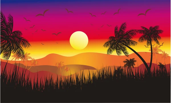 Tropischer Sonnenuntergang — Stockvektor