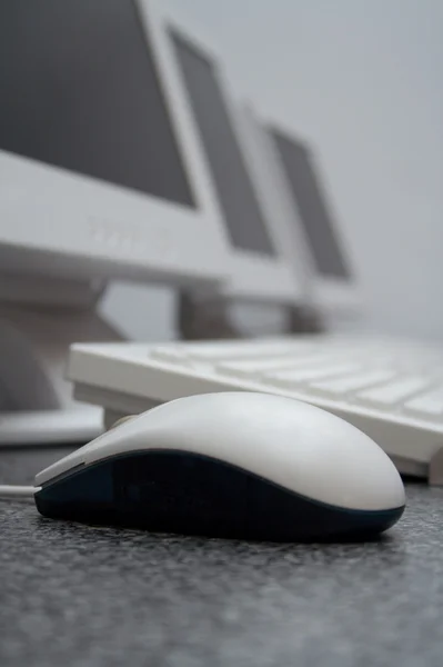 stock image Mouse grey