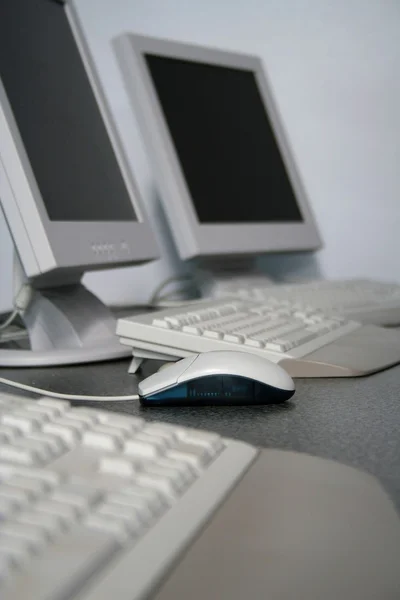 Computer training mouse — Stock Photo, Image