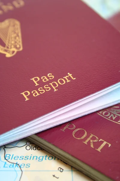 Pasaportlar