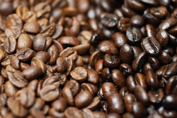 Decaffinated and caffinated coffee beans. — Stock Photo, Image