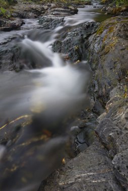 Tight crop of fast moving stream. clipart
