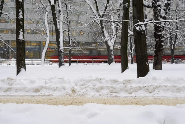 Tram che corre dagli alberi nella scena invernale . — Foto Stock
