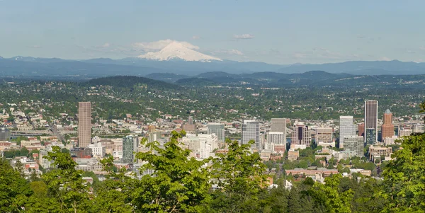 Portland oregon cityscape ve mount hood — Stok fotoğraf