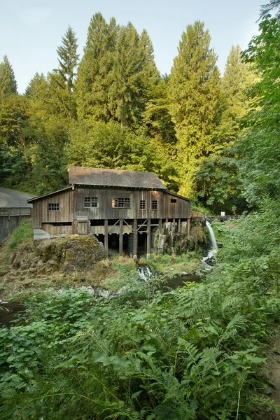 Historische Wassermühle am Zedernbachwald — Stockfoto