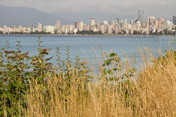 Vancouver BC Downtown da Hasting Mills Park — Foto Stock