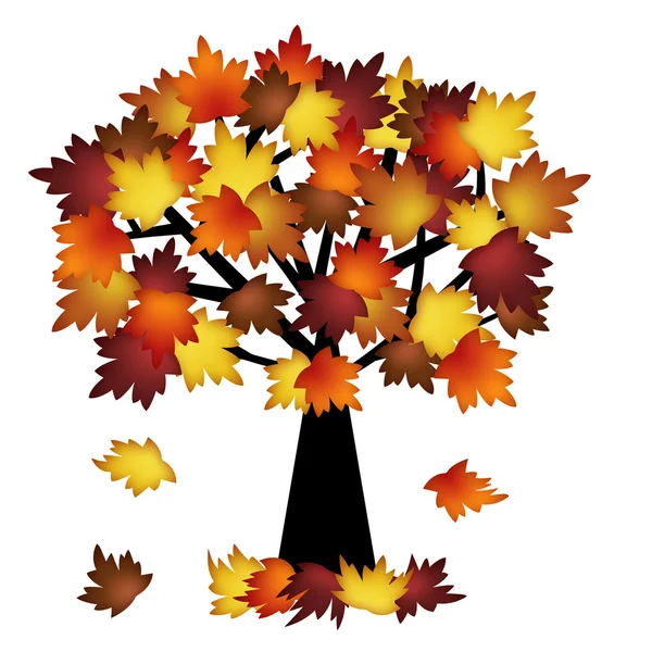 Folhas de queda coloridas na árvore — Fotografia de Stock