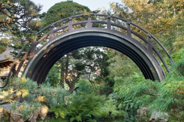 Curved Wooden Bridge at Japanese Garden