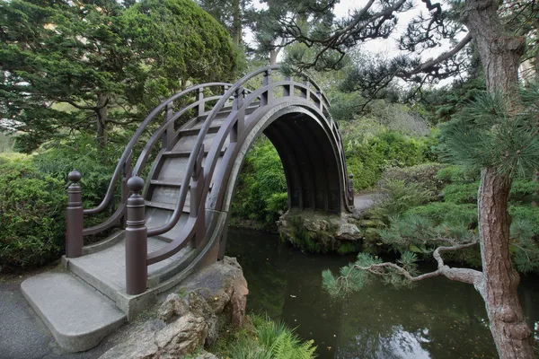Houten brug bij Japanse tuin in san francisco 2 — Stockfoto