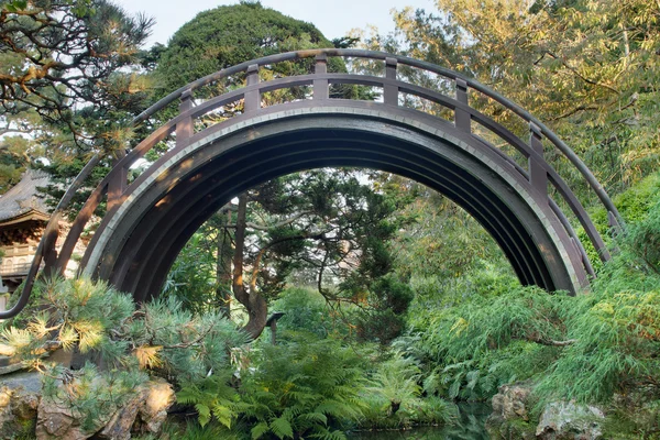 Curved Wooden Bridge at Japanese Garden — Stok fotoğraf