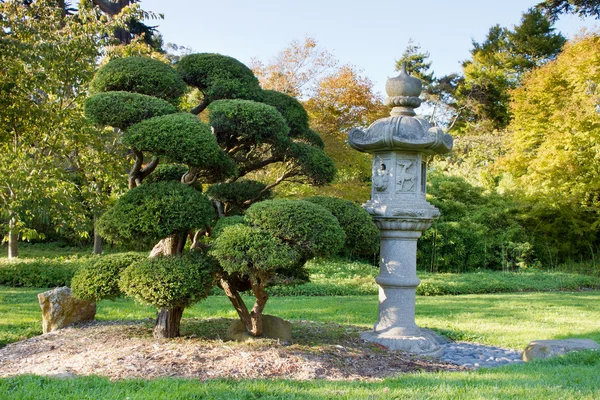 stock image Stone Lantern and Pruned Bonsai Tree at Japanese Garden