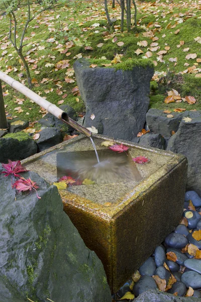 Fontana di bambù giapponese con bacino in pietra in autunno — Foto Stock
