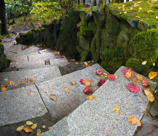 Garden Path Granite Stone Steps — Stock Photo, Image