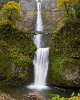 Multnomah Falls at Columbia River Gorge Oregon clipart