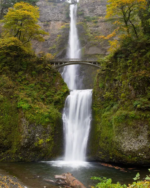 Oregon Multnomah falls columbia River gorge — Stok fotoğraf