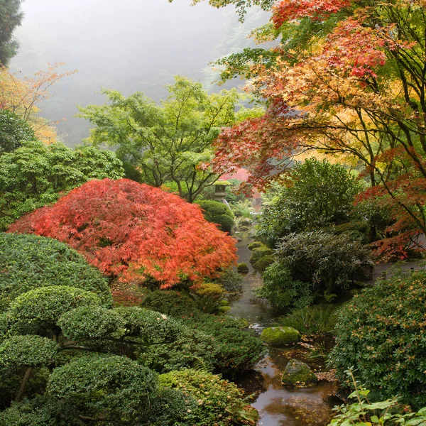 Creek op Japanse tuin in de herfst — Stockfoto