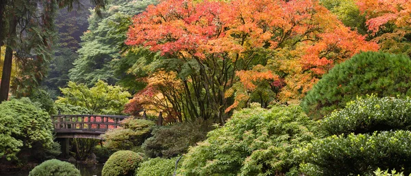 Puente de pie de madera en el jardín japonés en otoño — Foto de Stock