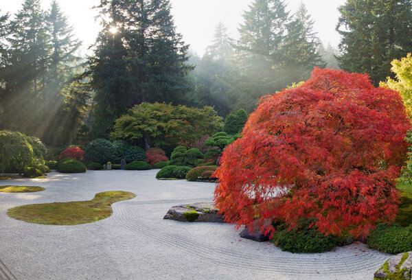 Sun Beams at Japanese Flat Sand Zen Garden